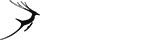 哪里能买到正版的网站攻击手段